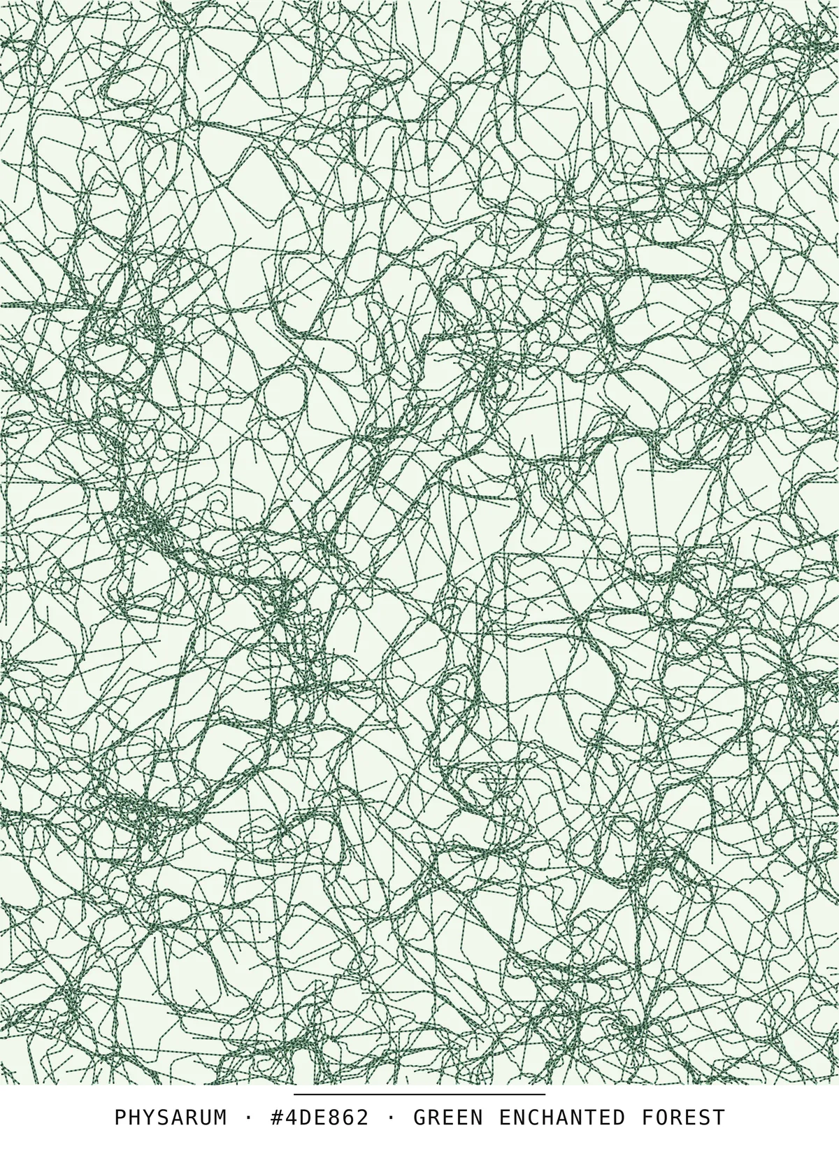 Physarum, art génératif — génération n°75